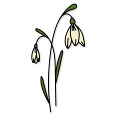 Snowdrop Birth Flower