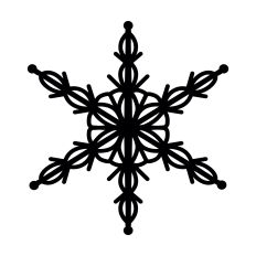 Intricate Winter Snowflake