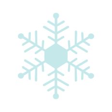 Snowflake 5