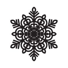 Intricate Snowflake