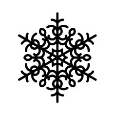 Intricate snowflake