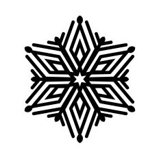 Intricate snowflake