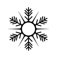 Snowflake monogram frame