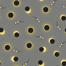 Solar Eclipse Phases and Eclipse Glasses