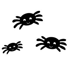 Spiders