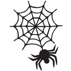 Spider Web and Spider - Halloween Design
