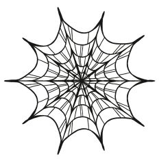 Spiderweb
