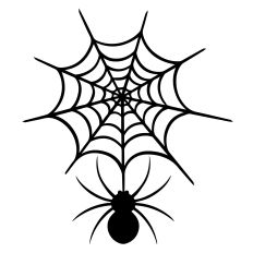 Spider Web Design 