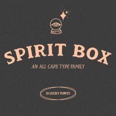 Spirit Box Serif Font Family + Doodle Font