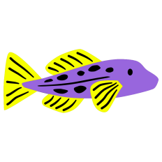 Spot Fish