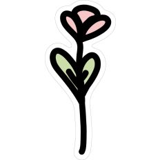 Cute Spring Flower