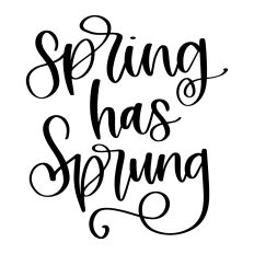 Spring Has Sprung