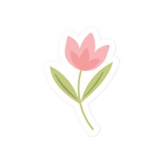 Spring Tulip