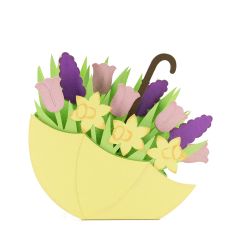 Spring Umbrella Box Card