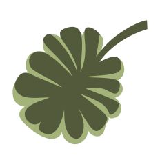 Stylized Leaf of Pansy 