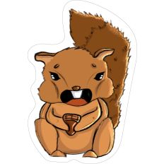 Squirrel