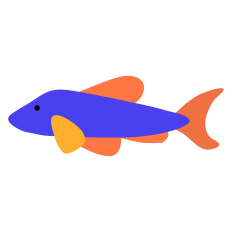 Dog Fish
