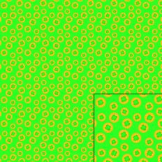 St. Patrick's Day Gold Coin Printable Pattern
