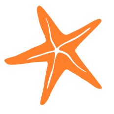 Star Fish