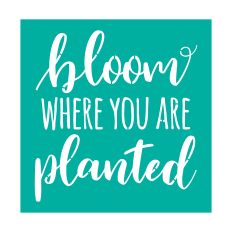 Bloom Where You Are Planted Stencil