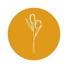 Tulip Sticker