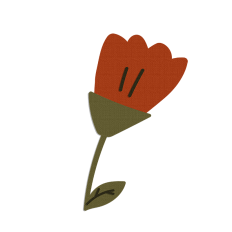 Tulip