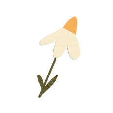 Daisy 