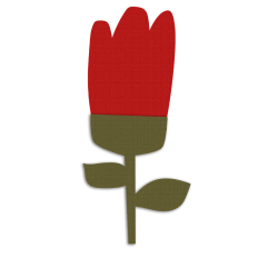 Tulip