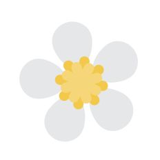 Strawberry flower