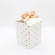 Stubby milk carton style gift box
