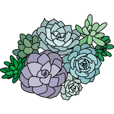 Succulent Arrangement