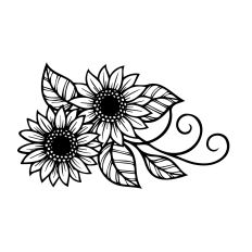 Sunflowers 