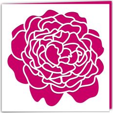 Summer Rose Card