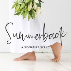 Summerback Signature Script Font