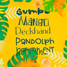 Summers Day Font Bundle