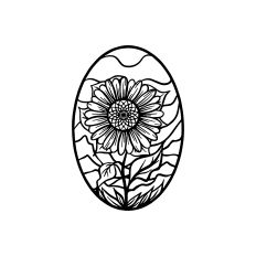 Sun flower in garden beautiful view 