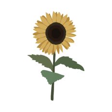 Sunflower Sticker