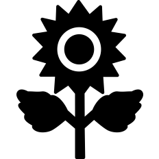 Sunflower Silhouette