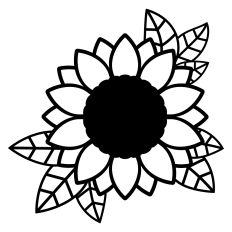 Sunflower with leaves