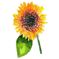 Watercolor Sunflower Sticker - Print & Cut