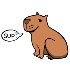 Sup capybara