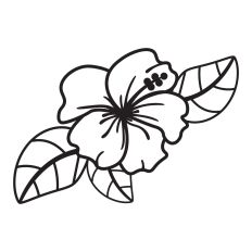 Tropic flower