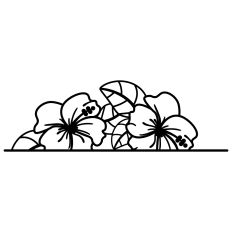 Tropic flower border