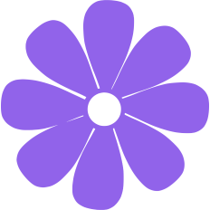 Purple Daisy
