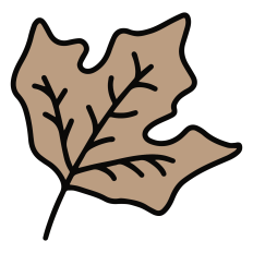 Leaf