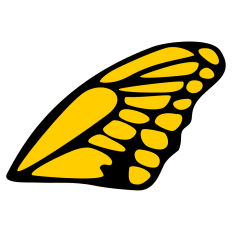 Swallowtail Butterfly