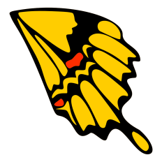 Swallowtail Butterfly