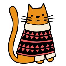 winter sweater cat