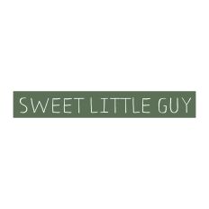 Sweet Little Guy