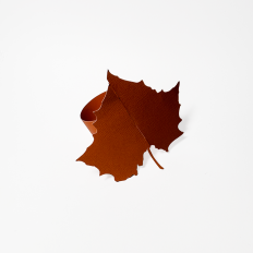 Sycamore Leaf Napkin Ring